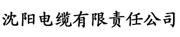 动漫影院电缆厂logo